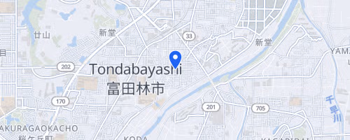 Ecomarathon de Tondabayashi