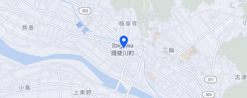 Ibigawa Marathon