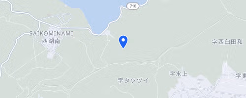 Mont Fuji International Marathon
