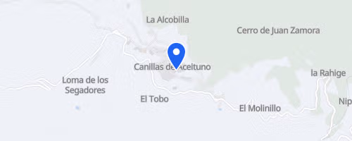 Carrera Urbana El Saltillo