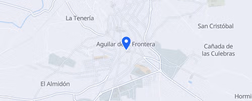 San Silvestre Aguilarense