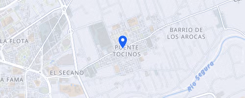 Legua Huertana Puente Tocinos