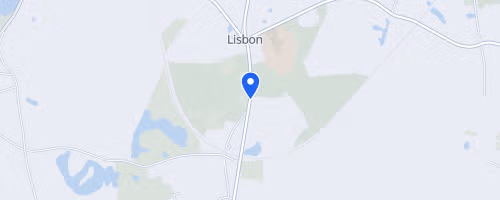 Lisbon Fall Festival Road Race