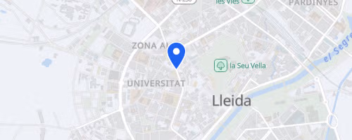 Pujada a la Seu Vella