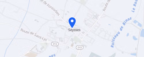 La foulée pour la vie - Seysses