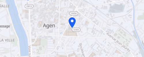 Les foulées du petit bleu - Agen