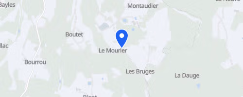 Trail du bourraid - Bourrou