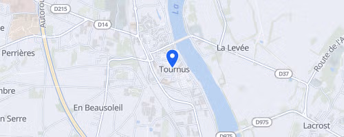 Cross de Tournus