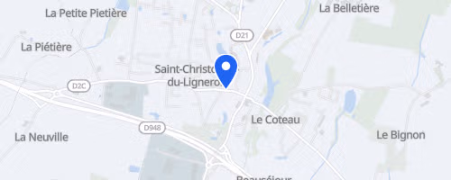 La Virée des Puces