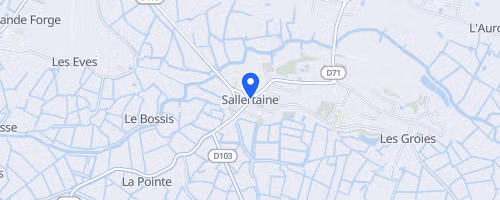 La Course Des Deux Clochers - Sallertaine