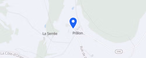 Marche nordique du Mont chauvin - Prâlon