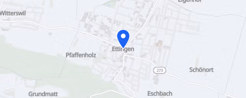 4. Ettinger Backyard Ultra