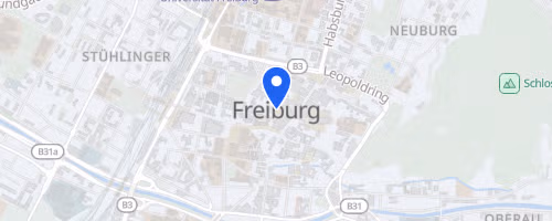 Megamarsch Freiburg