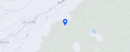 Rainkopf trail - La Bresse
