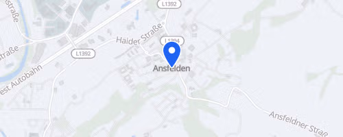 ANSer Panoramalauf