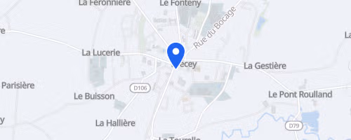 Les foulées des sapeurs - Brécey