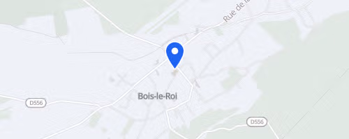 Sylver trail - Bois-le-Roi