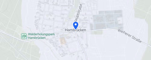 19. Hambrücker Lußhardtlauf