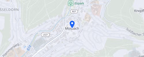 5. AOK Firmenlauf Mosbach