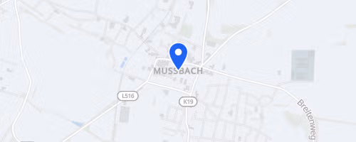 3. Mußbacher Eselshautlauf