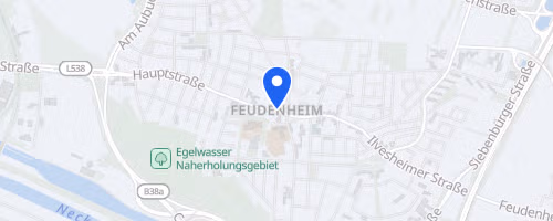 35. Herbstlauf der DJK Feudenheim