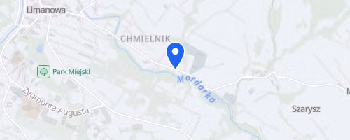 Bieg na skrzydłach mocy