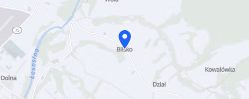 Łososiński Festiwal Biegowy 10km