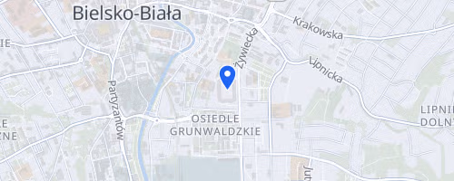 Bieg Kobbiet