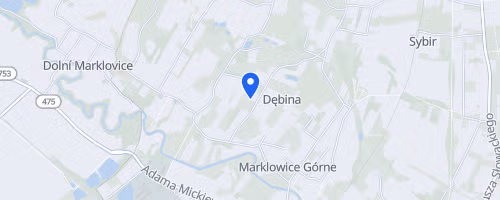 Bieg charytatywny dla Oliwiera