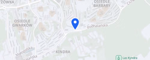 Kobiety na 5 Jastrzebski Bieg Kobiet