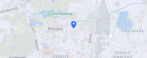 Nocny Bieg po Pszczynie