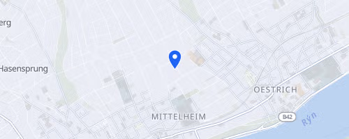 42. Rieslinglauf und 17. Rheingauer Halbmarathon