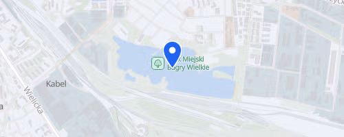 Biegiem na Bagry