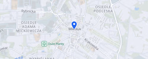 Mikolowski Bieg Uliczny im Henryka Biskupiaka