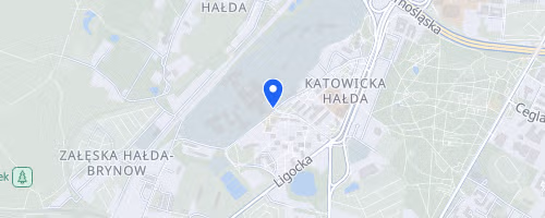 Bieg Niepodleglosci im Dziewieciu z Wujka
