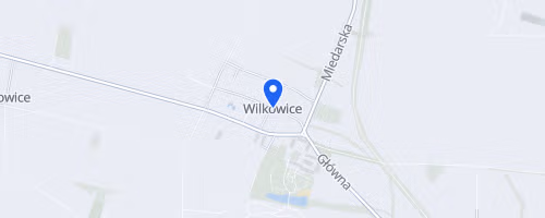 Bieg o Złotą Szyszkę