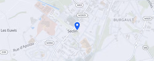 Les foulées collégiales - Seclin
