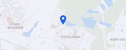 Miedzynarodowy Bieg V Ciu Stawow pod Patronatem Burmistrza Miasta Myszkowa Wlodzimierza Zaka