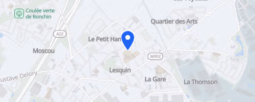 Foulées lesquinoises