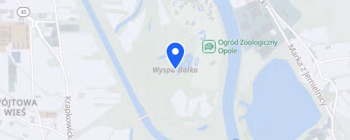 Charytatywny Bieg Z Żonkilem
