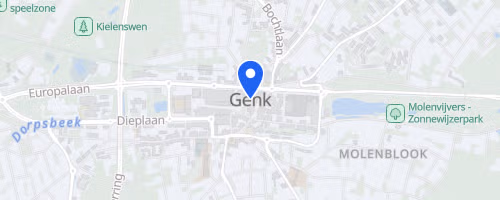 EnergyVision Genk Loopt!
