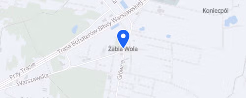 Poland Bike Road