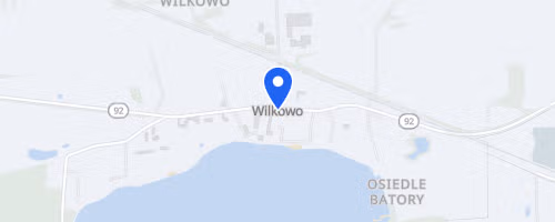 Bieg Wilka Wilkowo