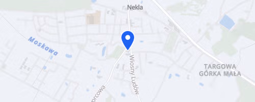 Nekielski Bieg do Lata