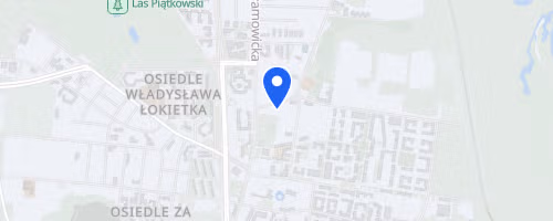 Dziki Trail