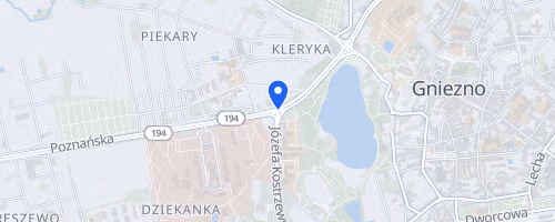 Bieg Lechitow Festiwal Biegowy Gniezno