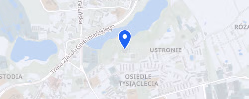 XXII Bieg Europejski