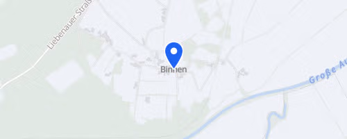 27. Binner Abendlauf