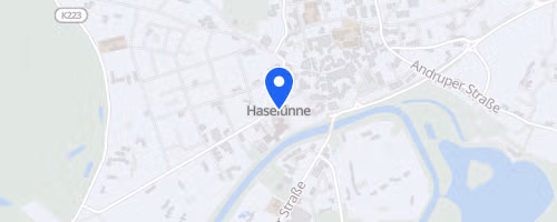 23. Haselünner Altstadtlauf