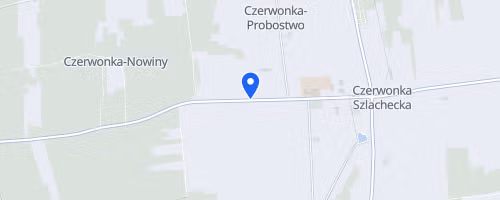 XI Bieg Siedmiu Roz